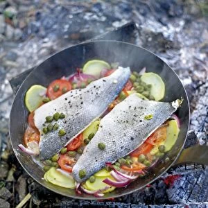Fish fillets and vegetables cooking in pan on camp fire