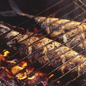 Two whole fish being grilled on a charcoal fire, with a wire rack on top
