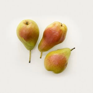 Three forelle pears, close-up