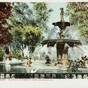 Fountain in Forsyth Park, Savannah, GA. Postcard. 1904, Fountain in Forsyth Park, Savannah, GA. Postcard