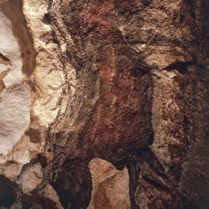France, Aquitaine, Decorated Grottoes of Vezere Valley, Lascaux Grotto, restoration intervention on upper Paleolithic cave painting
