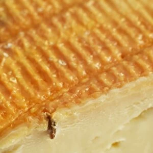French Munster au Cumin cheese, cows milk cheese with caraway seeds, close-up