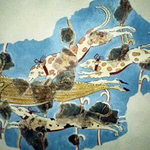 Fresco of hunting scene of dogs chasing deer (partially restored) from Tiryns (Tirins), Greece