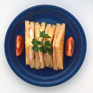Fried sandwiches on a blue plate