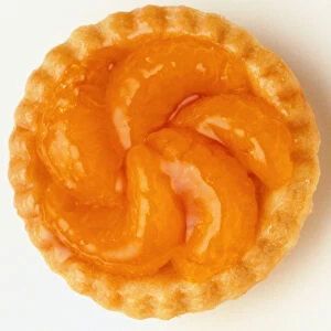 Fruit tart filled with mandarin segments