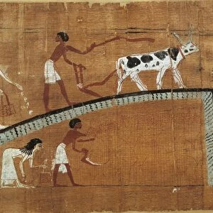 Funerary papyrus of Heruben with scene of agricultural work, Egyptian civilization