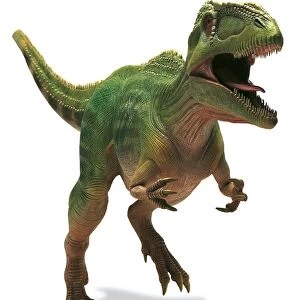 Giganotosaurus, giant southern lizard