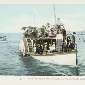 Glass Bottom Boat, Avalon, Santa Catalina Island Postcard. 1904, Glass Bottom Boat, Avalon, Santa Catalina Island Postcard