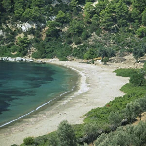 Greece, Skyros, azure waters and tree-lined sand of Pefkos beach