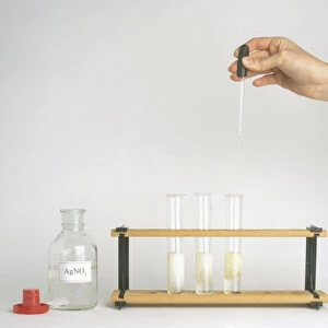 Hand holding pipette above rack of test tubes containing Chloride, Bromide and Iodine