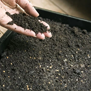 Human hand holding mixture of compost and soil