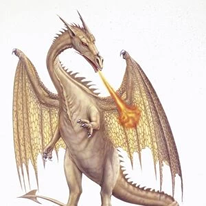 Illustration of Dragon