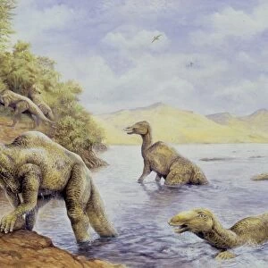 Illustration of Edmontosaurus getting out of lake