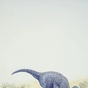 Illustration of Iguanodon