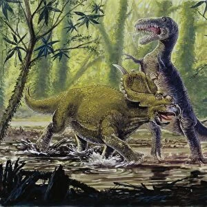 Illustration representing dinosaures in prehistoric landscape