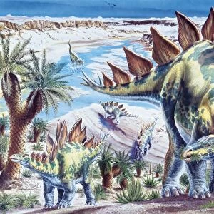 Illustration representing group of Stegosaurus in Jurassic landscape