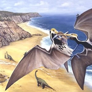 Illustration representing pair of Tropeognathus flying above seashore