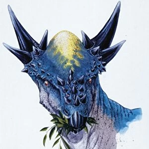 Illustration of Stygimoloch, close up