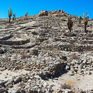 Inca ruins of Tastil. Routa 51 near Salta. Tastil is part of the old Inca Road System. South America. Argentina