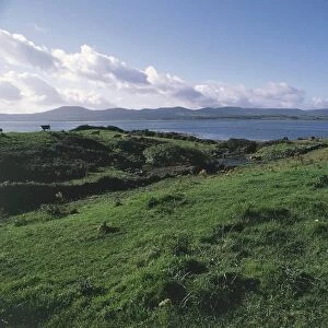 Ireland, Connacht Province, County Sligo, Strandhill surroundings, pastures near coast
