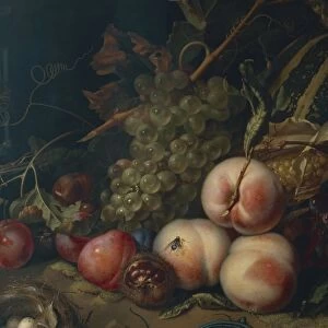 Italy, Florence, Still Life with Fruit and Insects, 1711, oil on canvas, detail