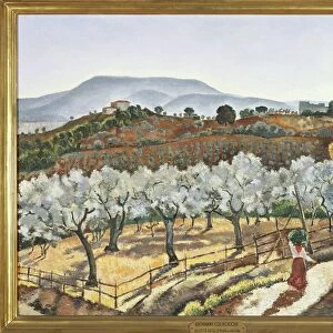 Italy, Florence, Olive grove outside the walls of Anagni, 1927