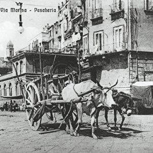Italy, Naples, Via Marina (Harbor Road), postcard, 1900