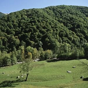 Italy, Piedmont Region, Cuneo province, landscape in Alta Valle Pesio and Tanaro Natural Park