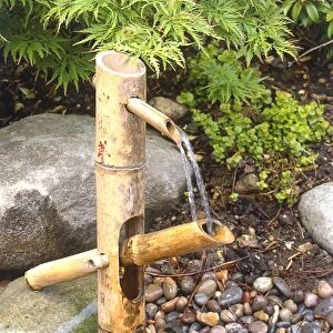 Japanese-style water fountain (shishi odoshi) made from bamboo