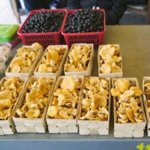 Lithuania, Klaipeda, chanterelle mushrooms and blackcurrants for sale at market stall