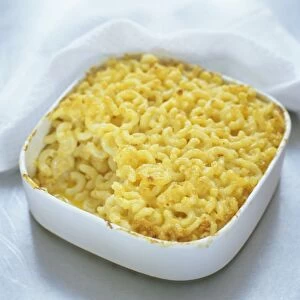 Macaroni cheese baked in square dish