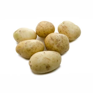 Maris Piper potatoes, grown in Great Britain