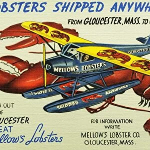 Mellows Lobsters Airplane. Ca. 1948, Lobsters Shipped Anywhere from Gloucester, Mass to California to Private Families and Exclusive Clubs. in and out of Gloucester Eat Mellows Lobsters. for Information Write Mellows Lobster Co. Gloucester, Mass