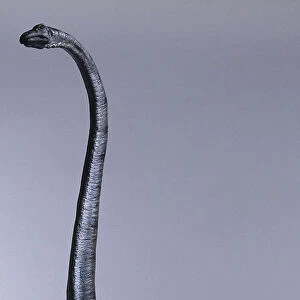 Model of Barosaurus in back legs, neck stretched, front legs raised