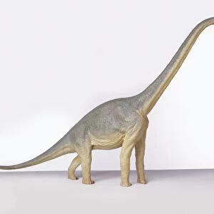 Model of Brachiosaurus, side view
