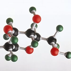Model of a glucose molecule, showing the atomic structure of Oxygen, Carbon and Hydrogen involved in photosynthesis
