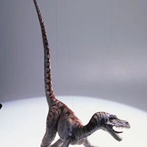 Model of Velociraptor dinosaur standing on back legs, mouth wide open, claws spread
