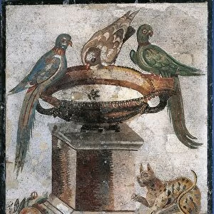 Mosaic depicting birds on basin and panther from Italy, Bay of Naples, Caserta, Santa Maria Capua Vetere, 80-60 B. C