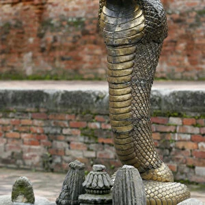 Naja snake in Bhaktapur royal palace