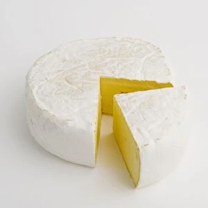 New Zealand Evansdale Farmhouse Brie cows milk cheese
