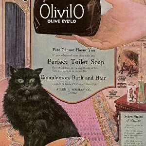 Olivilo Soap Advertisement with Black Cat