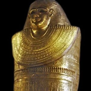 Outer case that enveloped the mummy of the lady Tacheretpaankh