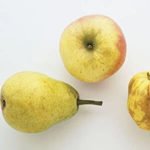 Overhead view of a Apple