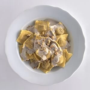 Pansoti served with walnut and ricotta sauce, a typical stuffed pasta dish from Liguria, Italy, view from above