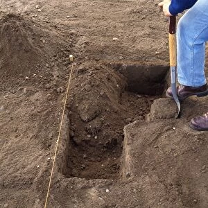 Person digging with spade in marked-out area of soil