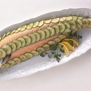Poached salmon garnished with sliced cucumber, a typical Scottish dish, view from above