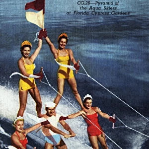 Postcard of Water Skiers at Cypress Gardens. ca. 1954, The Aqua Skiers perform in echelon formation at Floridas Cypress Gardens