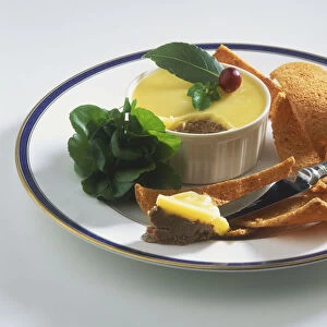 Potted venison served on a blue-rimmed white plate, with a cress garnish and corn chips, high angle view