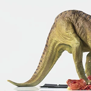 Profile of model of a Suchomimus dinosaur, crouching, tail raised, mouth open