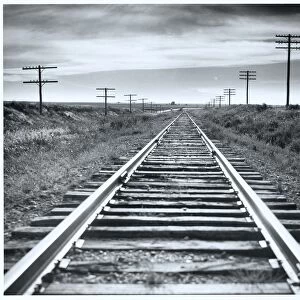 Empty railroad tracks